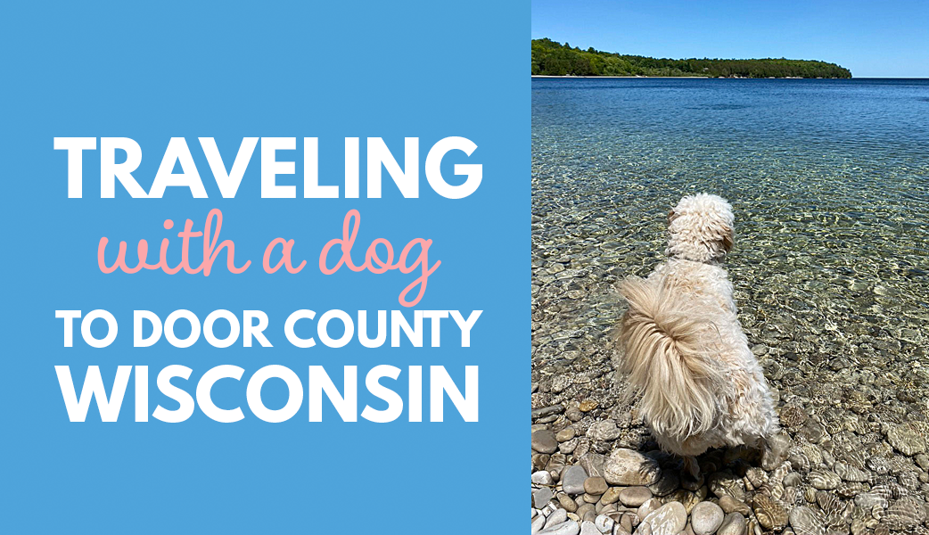 Traveling with a dog to Door County Wisconsin title in sky blue colored box and a dog in the rocky beach looking out into the large body of water