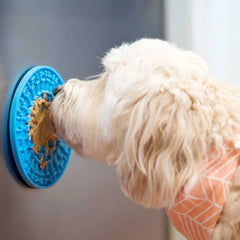 white dog licking peanut butter off blue lick mat