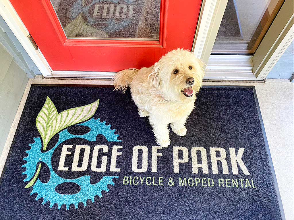 mini goldendoodle sitting on outdoor rug mat that says Edge of Park in front of red door
