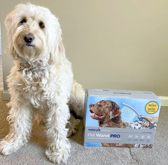 pet wand pro shower attachement box by goldendoodle dog
