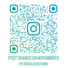QR code of Doodle Dog Town and Solwoven Instagram Reel