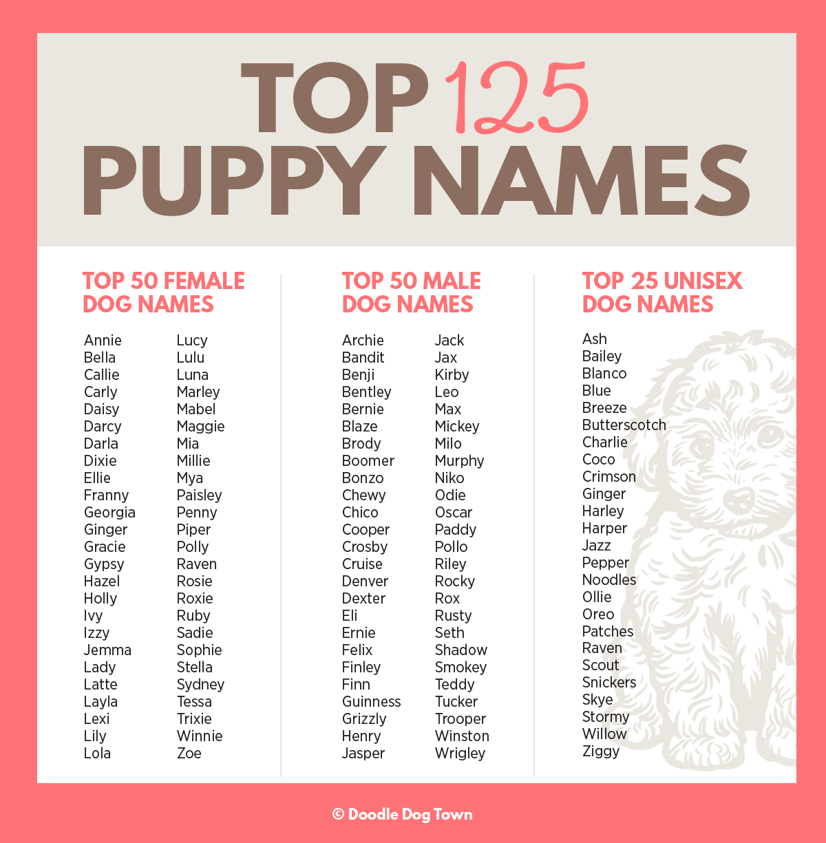 Top 125 Puppy Names Infographic which include 50 female dog names, 50 male dog names and 25 unisex dog names