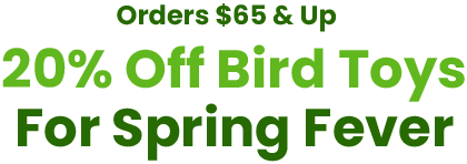 Orders $65 & Up - 20% Off Bird Toys for Spring Fever