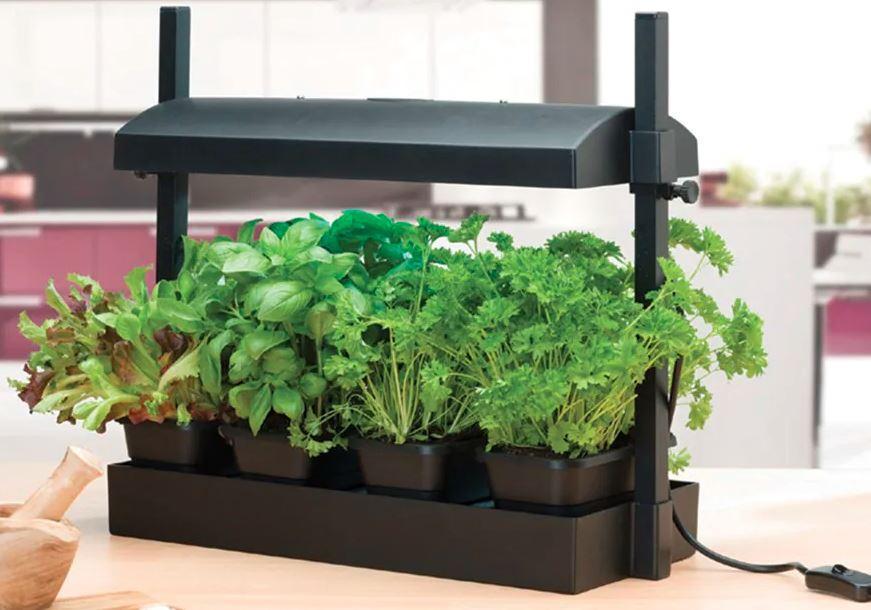 Garland Square Plant pot Tray 60 x 60 x 12cm