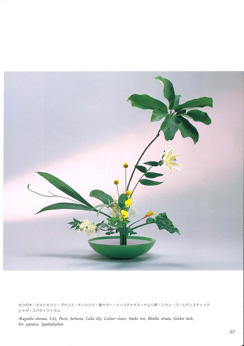 Ikenobo Yuki Senko Ikenobo No Sekai Hana No Toki Ikebana With The S