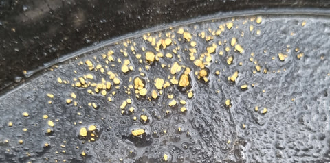 Gold panning in Australia