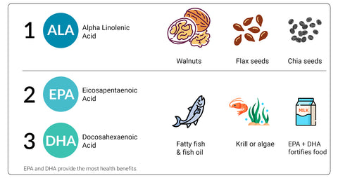 EPA and DHA provide the most health benefits