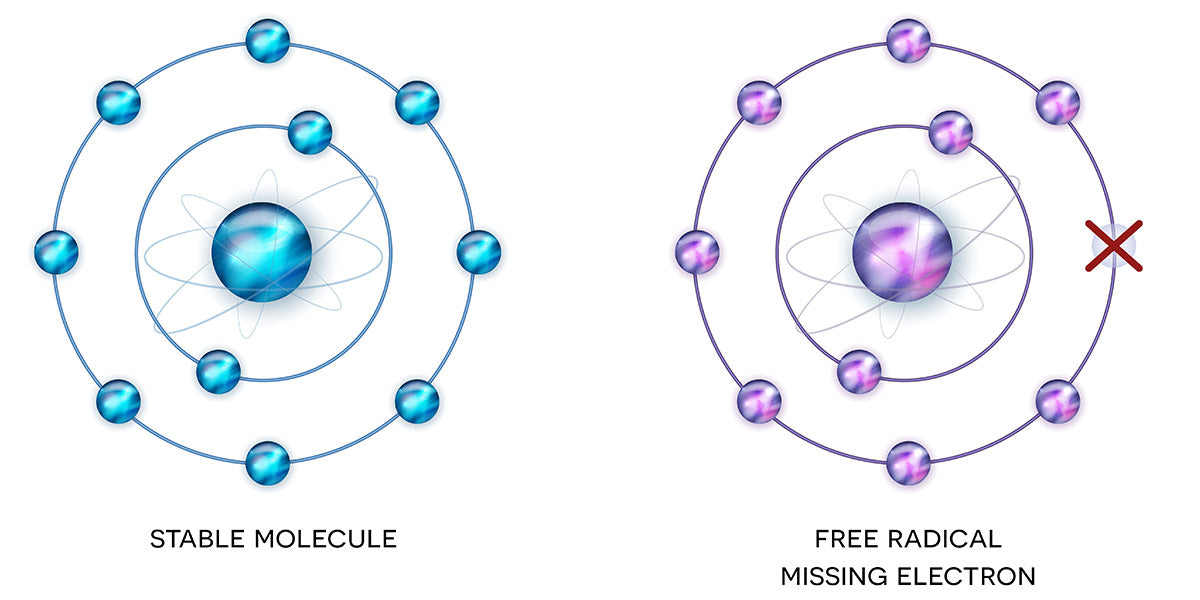 What are free radicals, can they help us build muscle - Nutrova