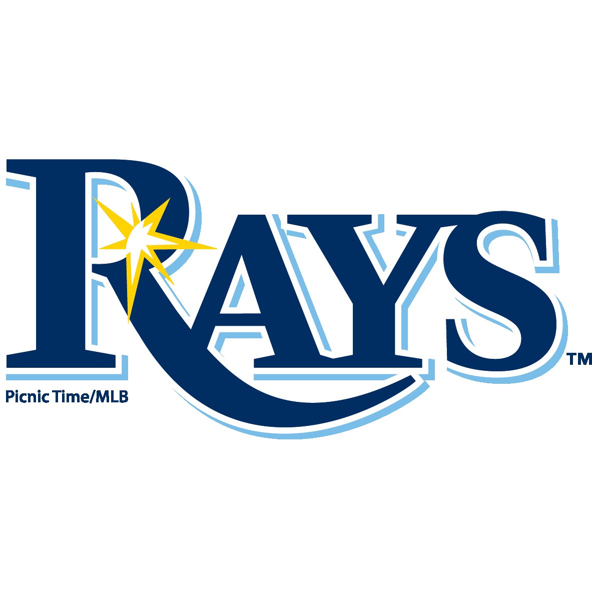 Tampa Bay Rays Stadium Clear Tote
