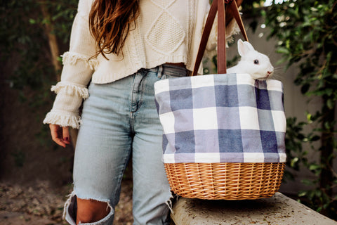 woman carrying picnic basket tote with white bunny inside