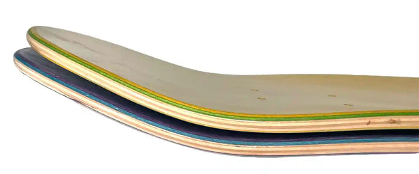 Skateboard Concave detail shot