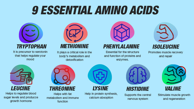 9 Essential Amino Acids