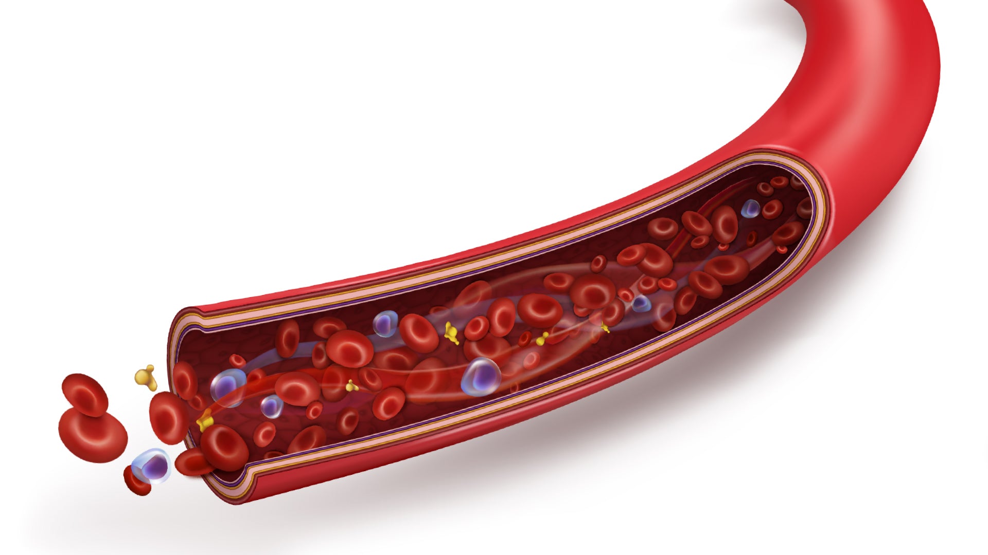 VASODILATION AND HYPERAEMIA