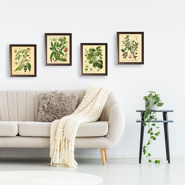 Framed botanical prints wall decor 