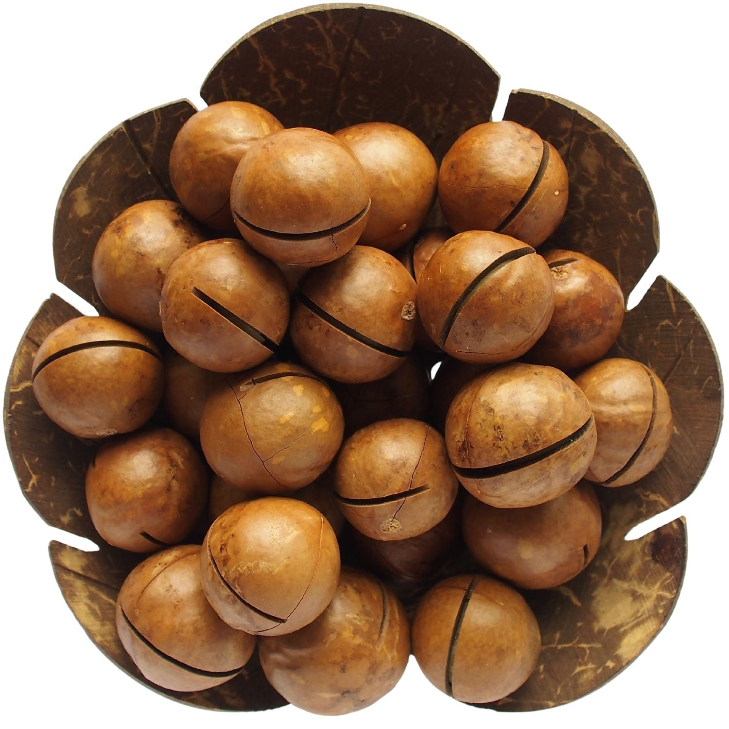 noix de macadamia rôties en coquilles dans un bol de noix de coco