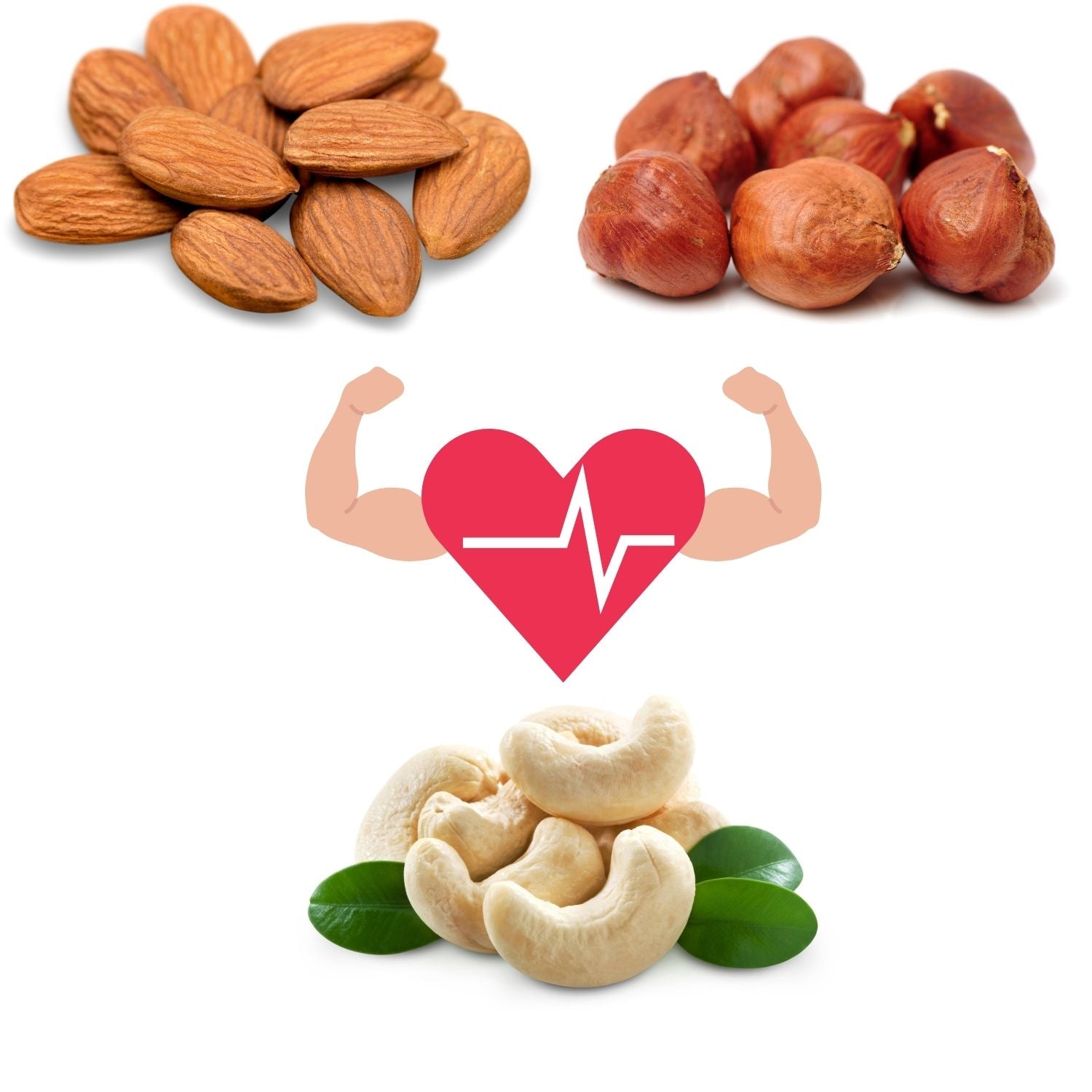 FRUTTA SECCA DISIDRATATA CHE DA ENERGIA IDEALE PER LO SPORT E L'ATTIVITA' FISICA COMPOSTO DA NOCCIOLE SGUSCIATE, MANDORLE, ANACARDI CRUDI, MIRTILLI ROSSI, MIRTILLI NERI, UVA BIANCA, CILIEGIE DENOCCIOLATE