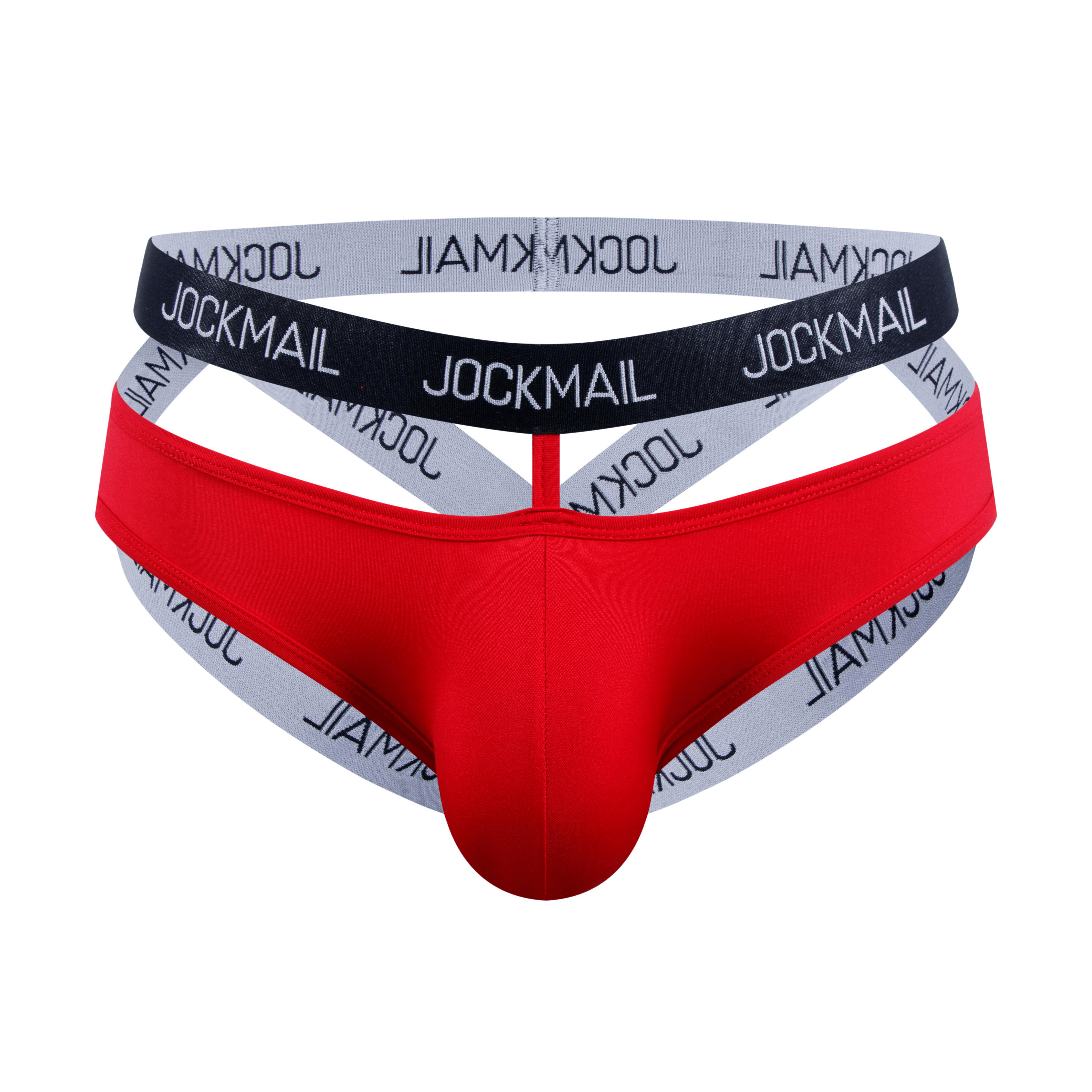 Charlemagne Navy Briefs  Men's sheer Bikini Briefs in red Embroidered Mesh