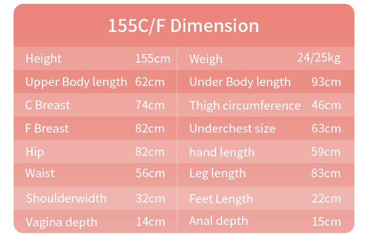 155cm sex doll size chart