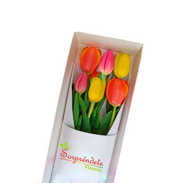 CAJA DE 6 TULIPANES – Florería Sorprendete