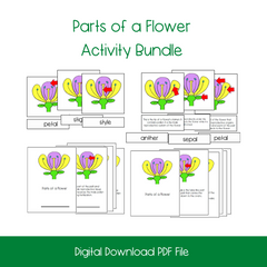 partsofafloweractivitybundle