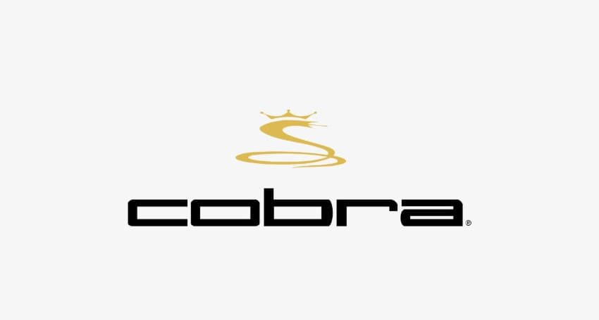 Cobra-Golf-History-850x455-1.jpeg
