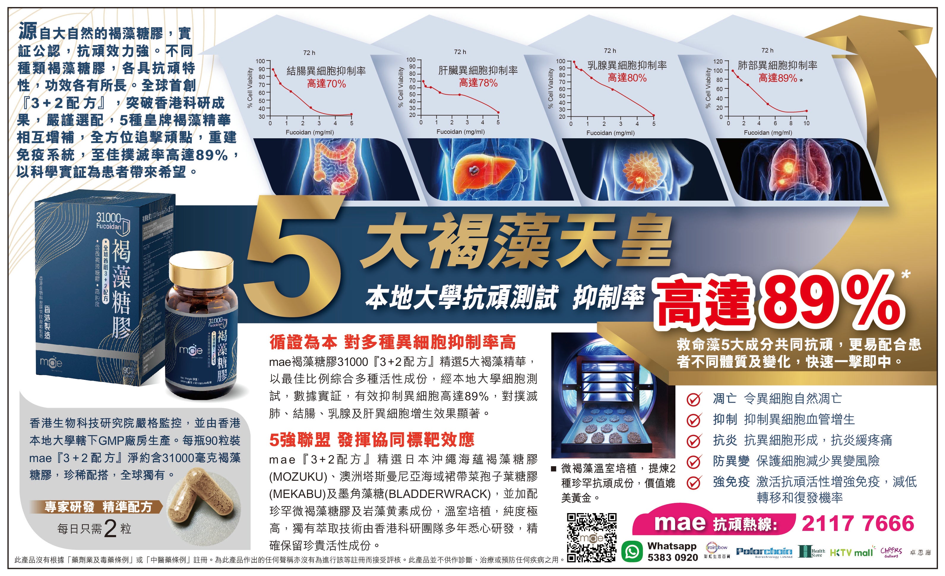 MAE Brown Algae • Fucoidan 31000 (90 capsules) - [Hong Kong Science and Technology]