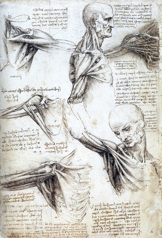 Qui était Léonard De Vinci?
