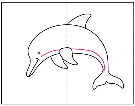 Apprendre à dessiner un dauphin