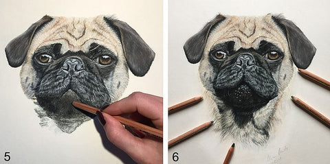 Comment dessiner des chiens