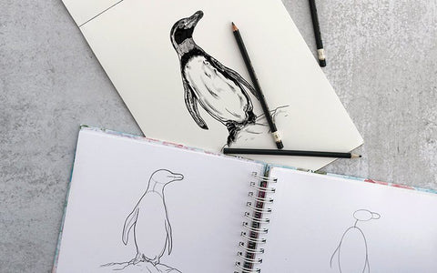 Comment dessiner un oiseau