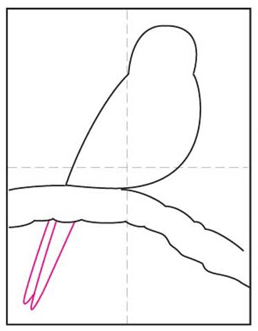 Comment dessiner un oiseau