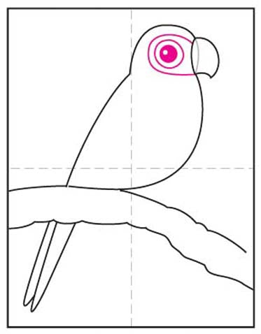 Comment dessiner un oiseau