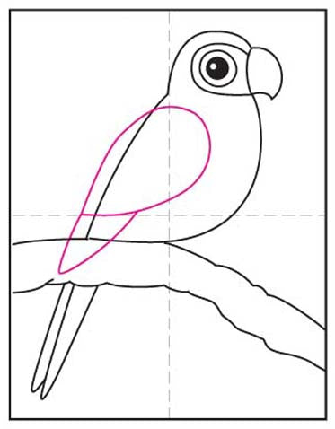 Comment dessiner un oiseau