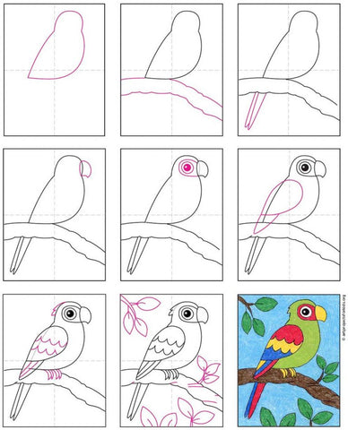 Comment dessiner un oiseau