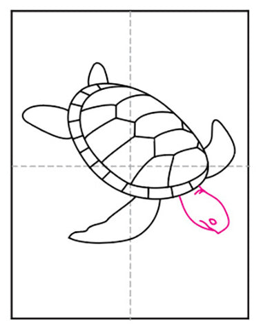 Comment dessiner une tortue