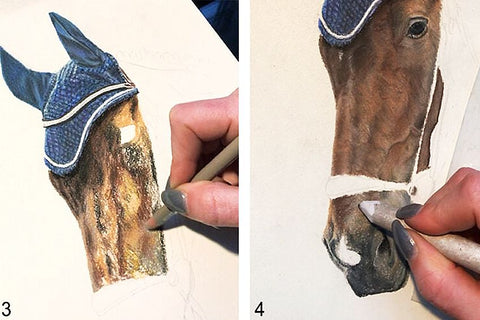 Comment dessiner un cheval étape par étape