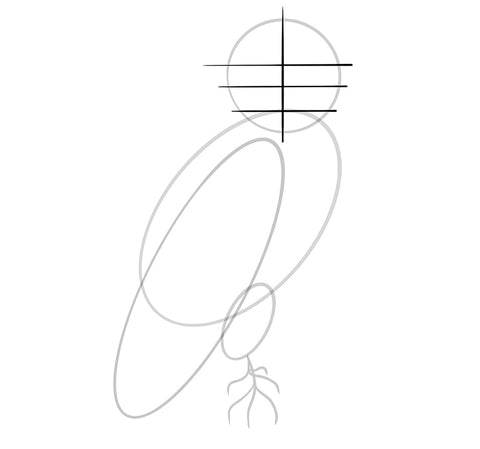 Comment dessiner un oiseau