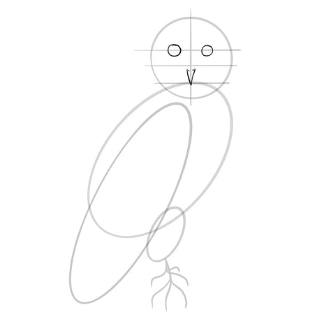 Comment dessiner un oiseau