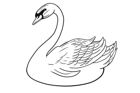 Comment dessiner un oiseau