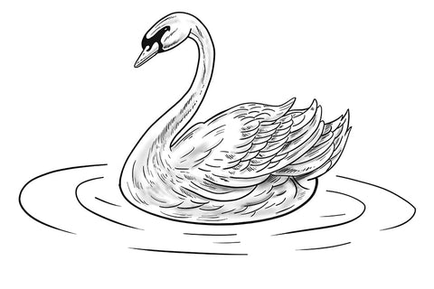 Comment dessiner un oiseau