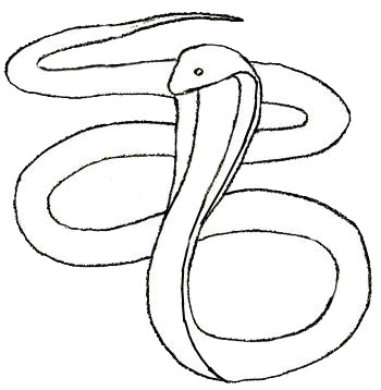 Comment dessiner un serpent facile