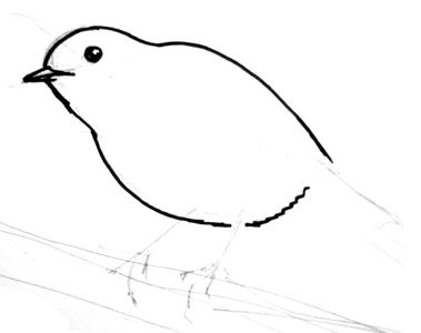 Comment dessiner un oiseau