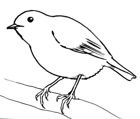 Comment dessiner un oiseau