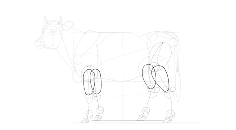 Comment dessiner une vache