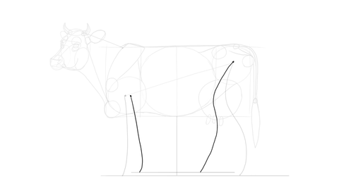 Comment dessiner une vache