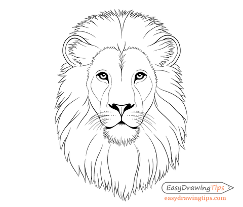 Comment dessiner un lion - Un tutoriel de dessin de lion 