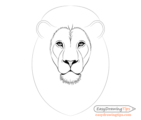 Comment dessiner un lion - Un tutoriel de dessin de lion 