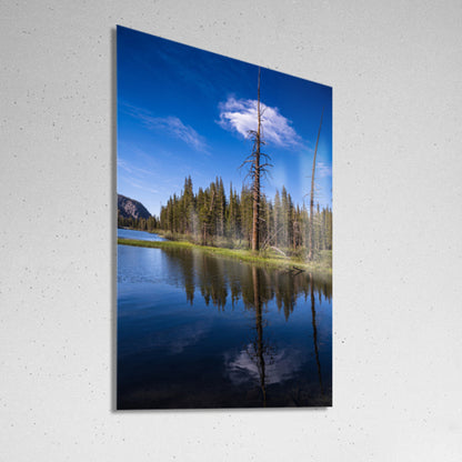 Mirrored Reflections on the Lake Mamie Mammoth Lakes Posters, Prints, & Visual Artwork Abigail Diane Photography Acrylic Print 8x12inches (21x31cm) 