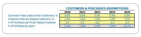 Dropshipping Business Plan Dashboard Core Inputs Customer Assumptions