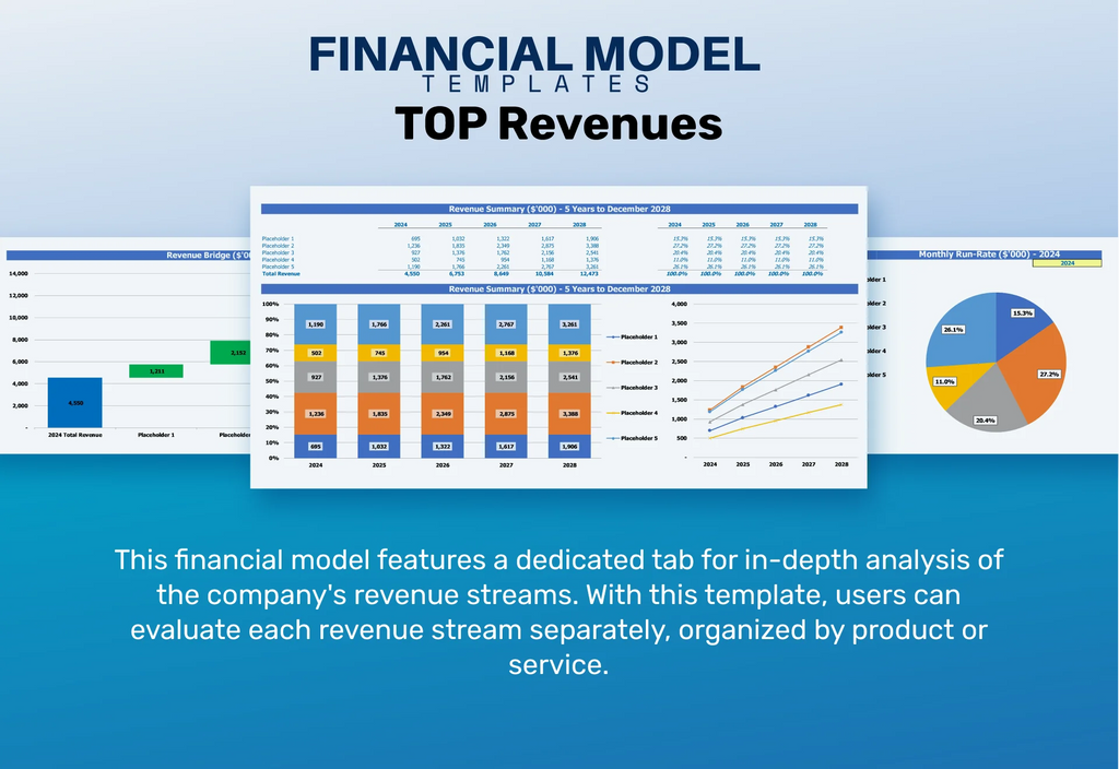 accessories shop startup financial model Top Revenue